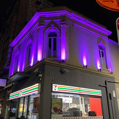 4x/8x/12x Package 30W 12V Low Voltage Smart Bluetooth RGBW Narrow Beam Directional Outdoor Landscape Aluminum Spotlight