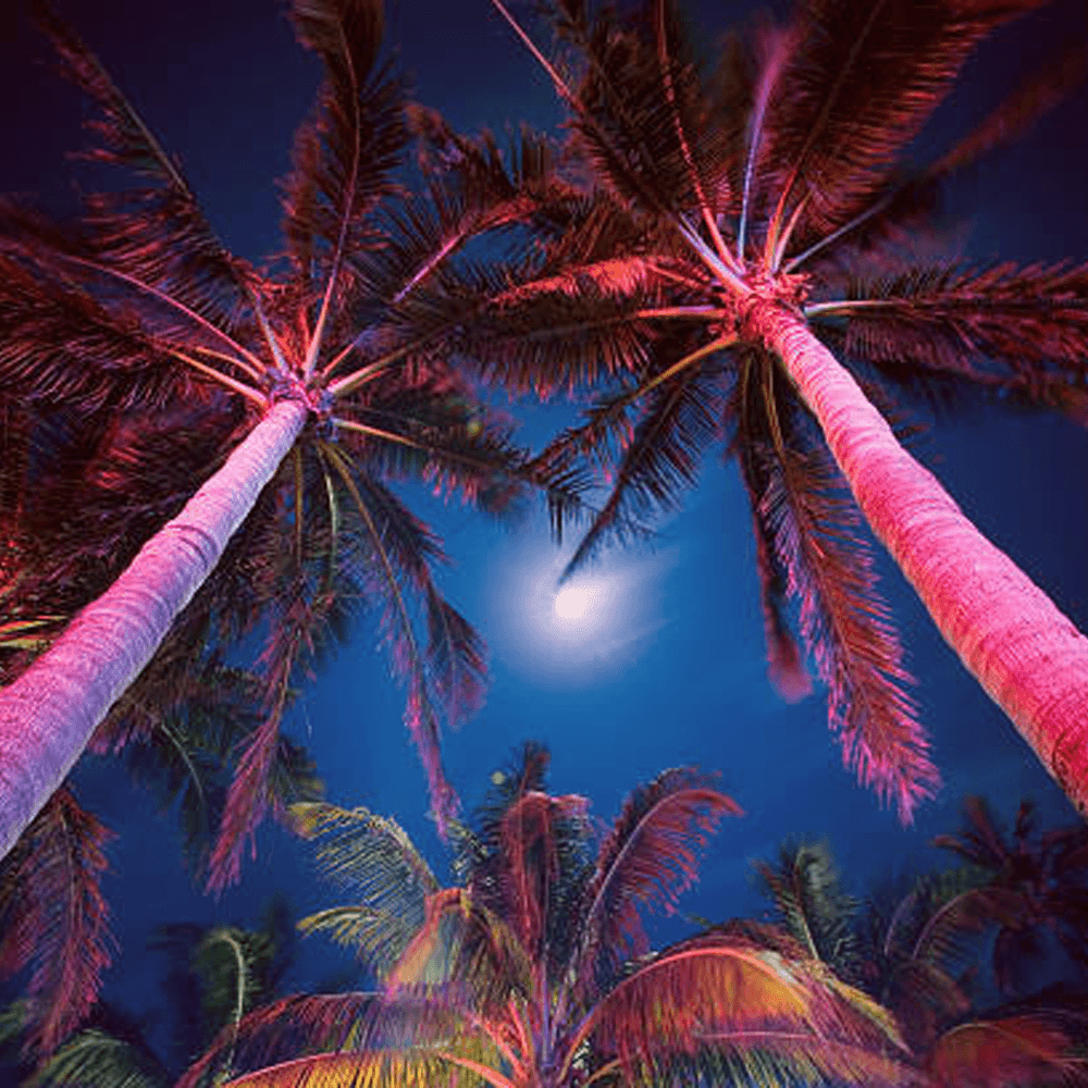 4x/8x/12x Package 30W 12V Low Voltage Smart Bluetooth RGBW Narrow Beam Directional Outdoor Landscape Aluminum Spotlight