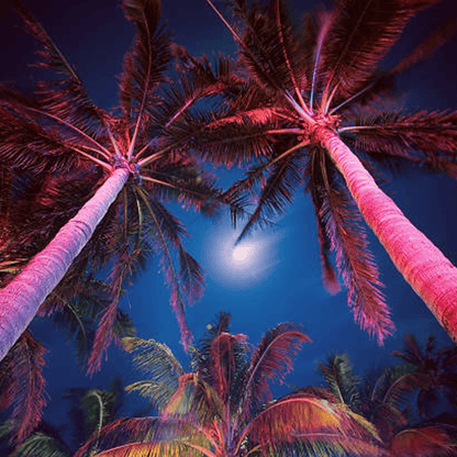 4x/8x/12x Package 30W 12V Low Voltage Smart Bluetooth RGBW Narrow Beam Directional Outdoor Landscape Aluminum Spotlight